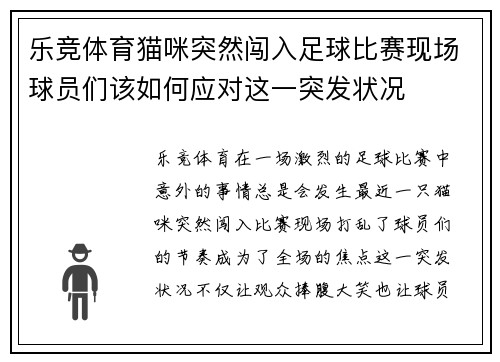 乐竞体育猫咪突然闯入足球比赛现场球员们该如何应对这一突发状况
